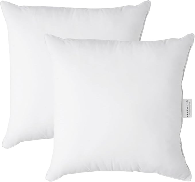 LANE LINEN 18 x 18 Throw Pillow Insert - Pack of 2 White, Down Alternative Pillow Inserts for Decorative Pillow Covers, Throw Pillows for Bed, Couch Pillows for Living Room