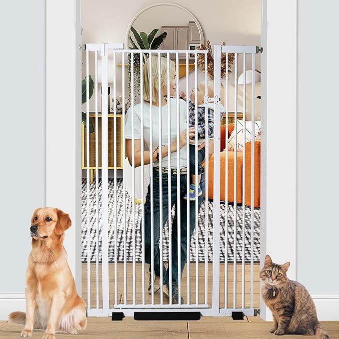 Cat And Baby Gate