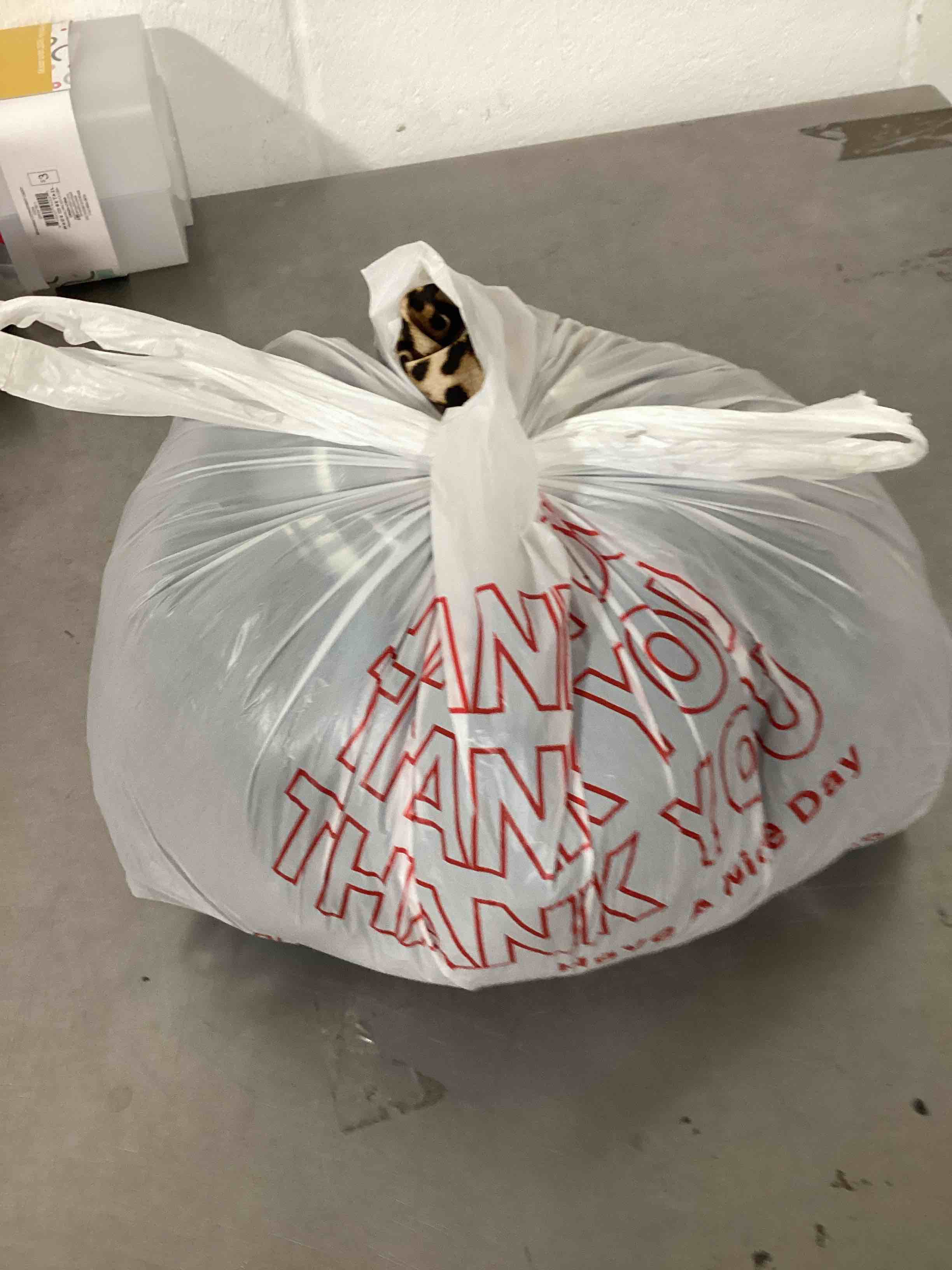 https://s3.amazonaws.com/lotting-images-prod/bidfta/PNK1218566_1755528760294.jpeg