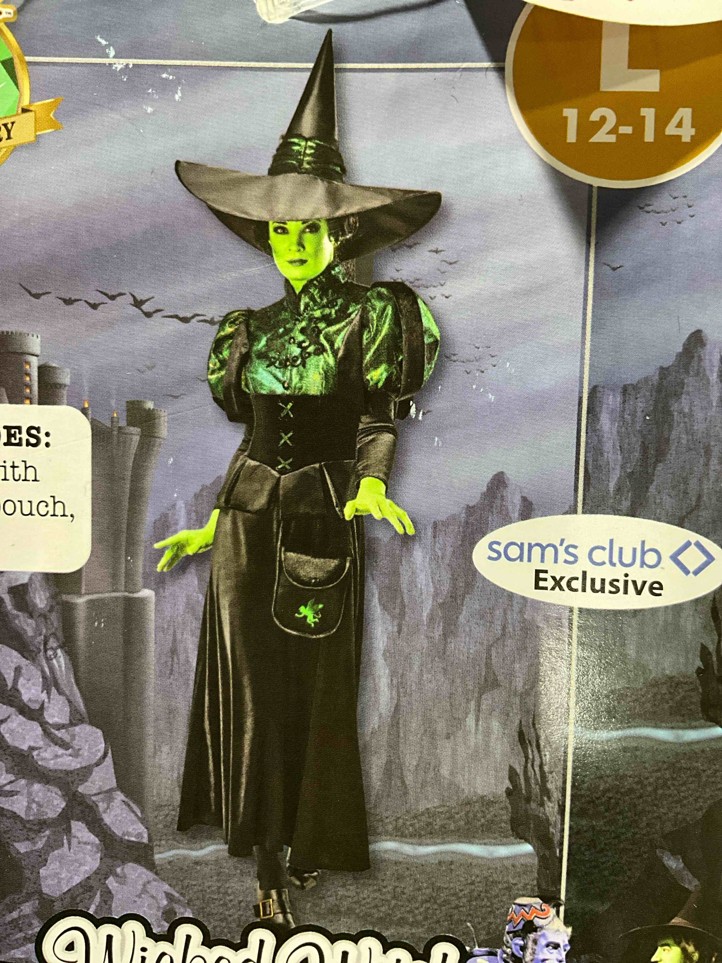  The Wizard of Oz Wicked Witch of the West Adult Costume ( Size M 8-10)