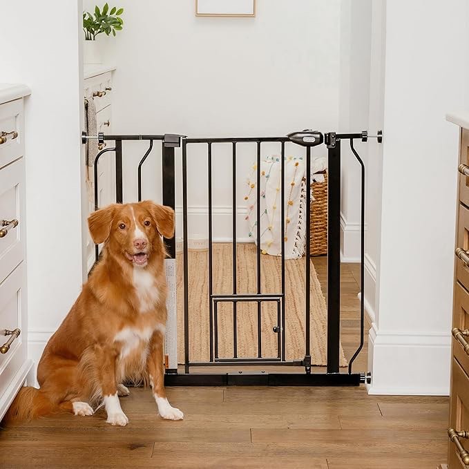 Carlson extra wide pet gate white