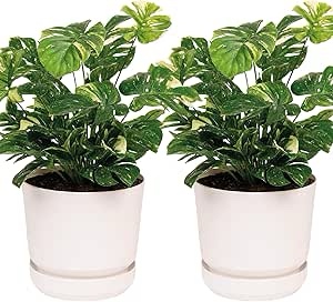 Elly Décor 2 Pack 12 Inch Plastic Cylinder Planter Pots with Self-Watering Saucer and Drainage Hole