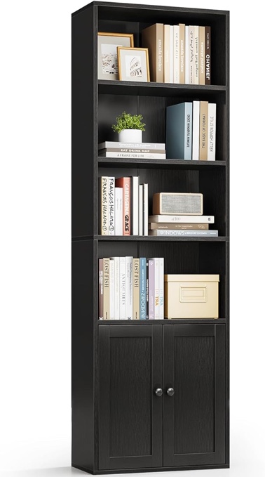 bookcase with doors
