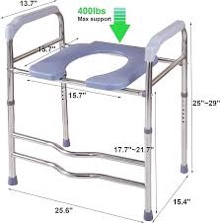 raised toilet seat with handles 