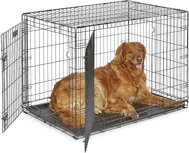 cage 
