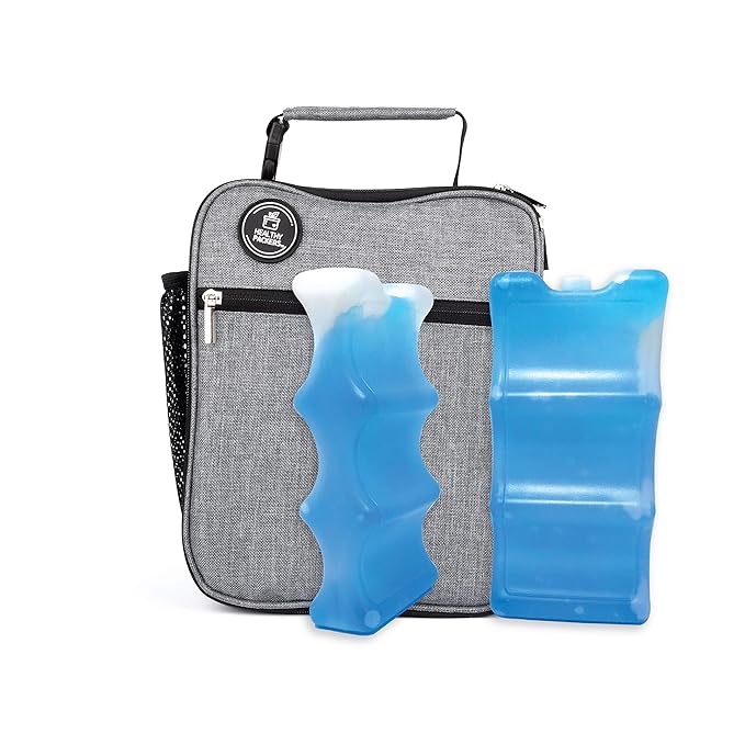 Healthy Packers Insulated Lunch bag (Dark Grey) and Long Lasting 6 can Ice packs (Set of 2)