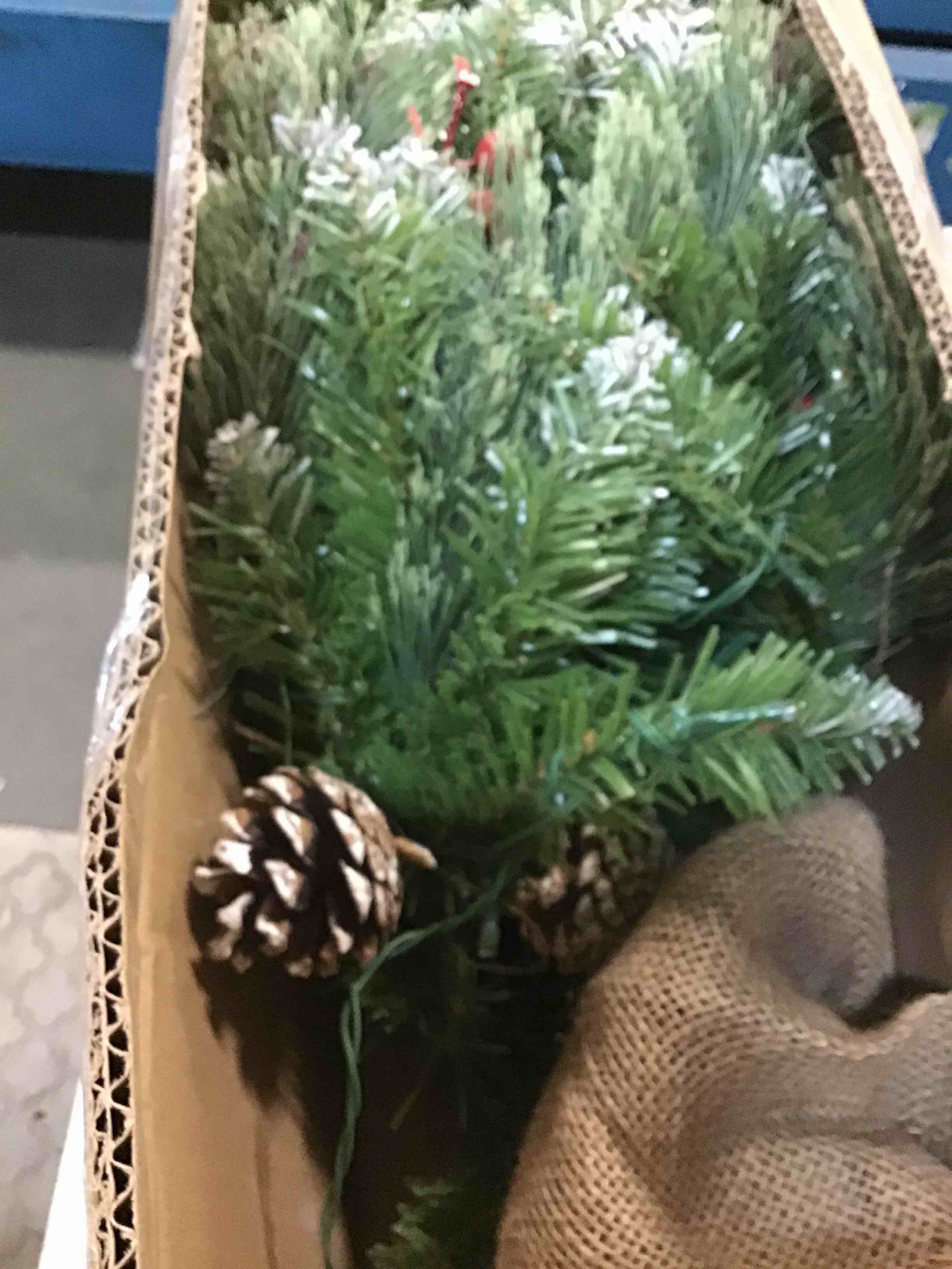 https://s3.amazonaws.com/lotting-images-prod/bidfta/PNK1255425_1734527940205.jpeg