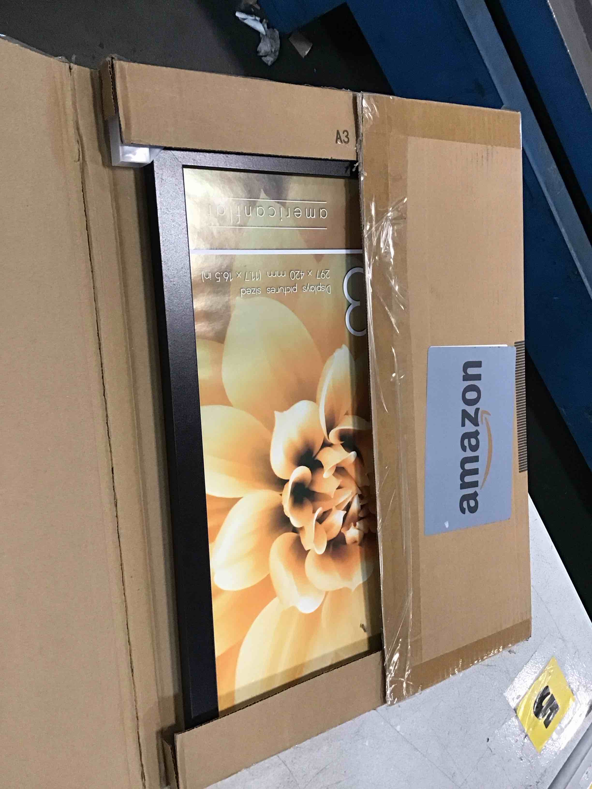 https://s3.amazonaws.com/lotting-images-prod/bidfta/PNK1270731_1734459522908.jpeg