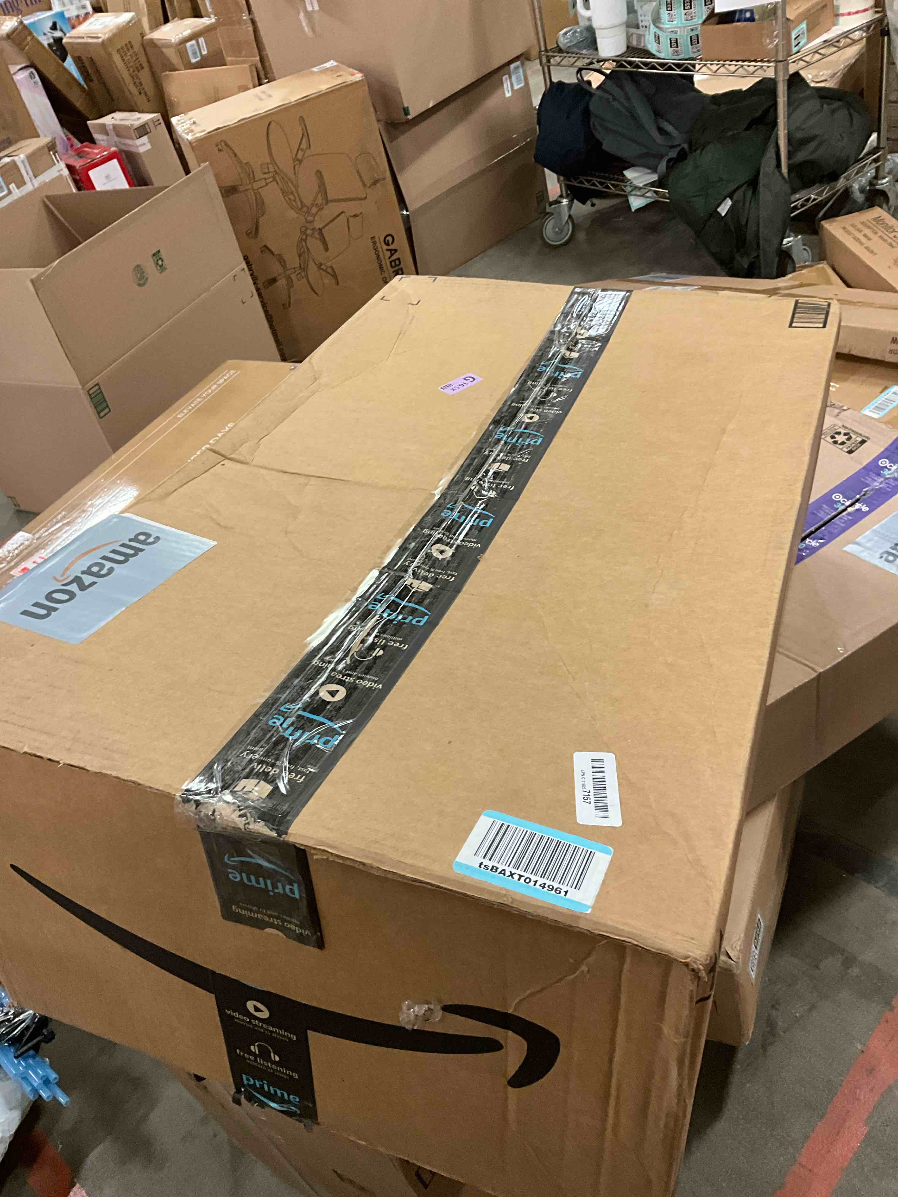 https://s3.amazonaws.com/lotting-images-prod/bidfta/PNK1317062_1737670420261.jpeg