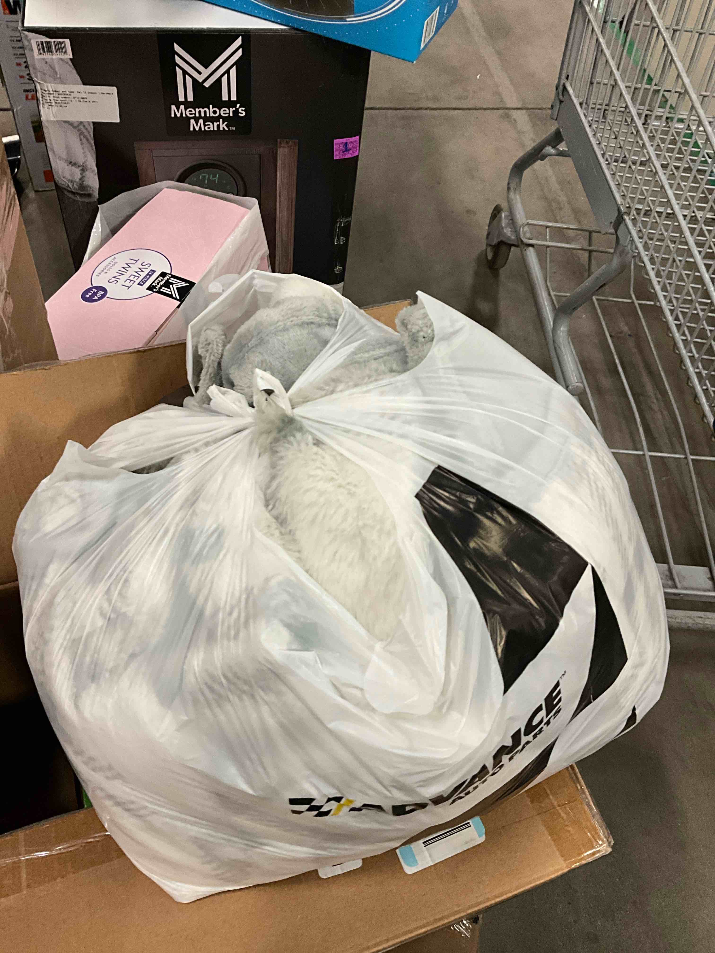 https://s3.amazonaws.com/lotting-images-prod/bidfta/PNK1318963_1738962781467.jpeg