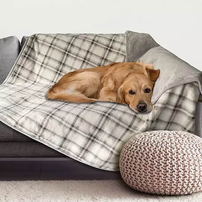 Arlee Waterproof Pet Throw Blanket, 60" x 70"