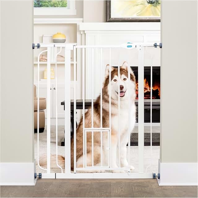 Carlson Extra Tall Walk Through Pet Gate with Small Pet Door, Includes 4-Inch Extension Kit, 4 Pack Pressure Mount Kit and 4 Pack Wall Mount Kit, 36 x 36.5, White