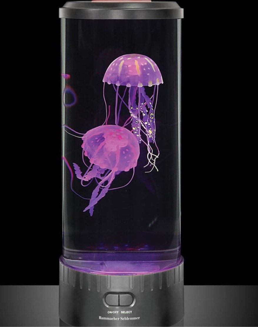 The Best Jellyfish Aquarium