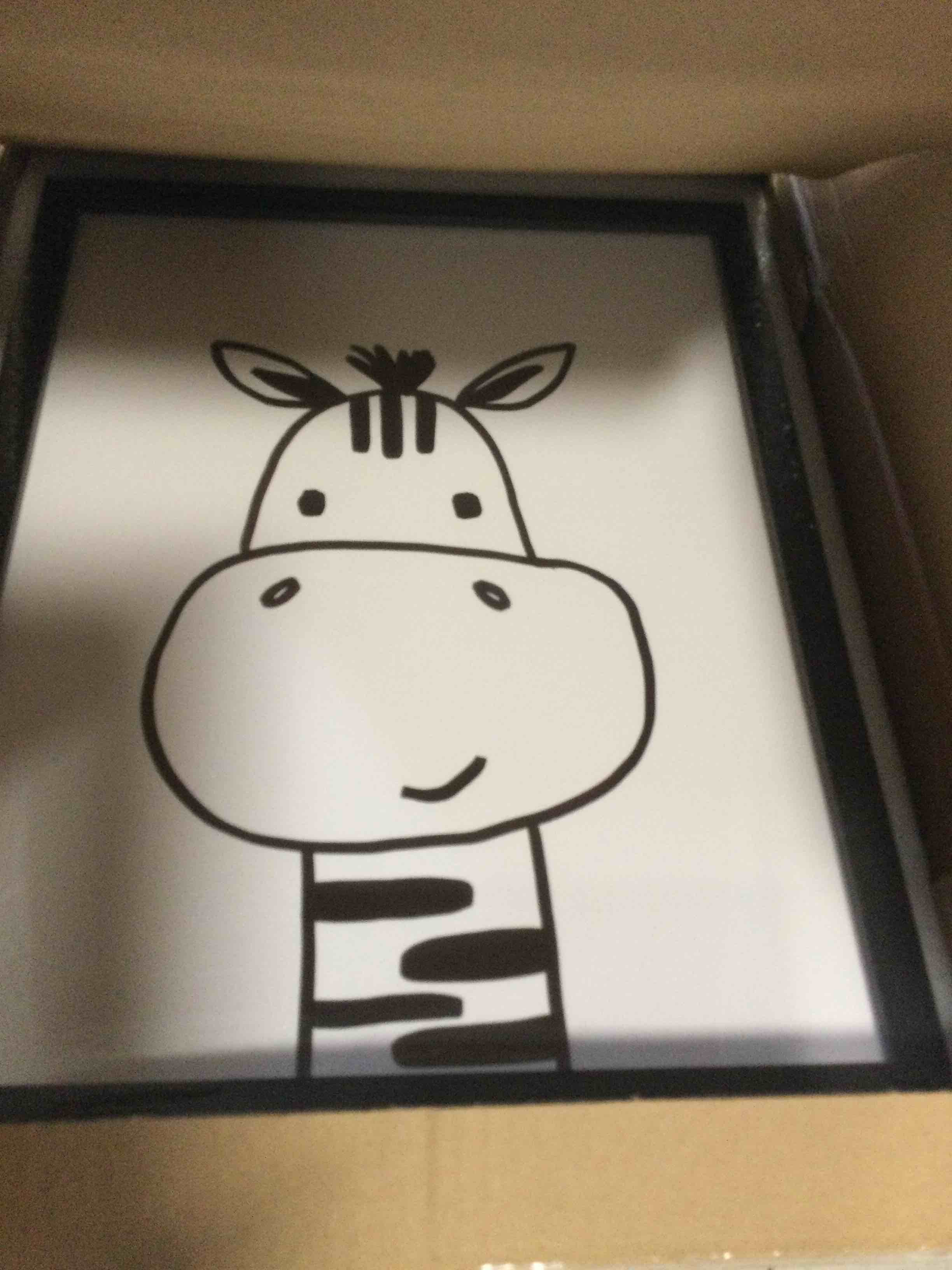 https://s3.amazonaws.com/lotting-images-prod/bidfta/PNK1342624_1733927113400.jpeg