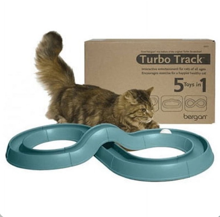 Turbo Track Cat Toy 5 Toys In 1 Easy Snap Together Pieces To Create 