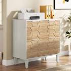 Derrin 31.5'' Wide 2 -Drawer File Cabinet