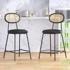 24'' Upholstered Rattan Counter & Bar Stool