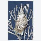 Shell Coral Silver on Blue II by Caroline Kelly - Wrapped Canvas Print