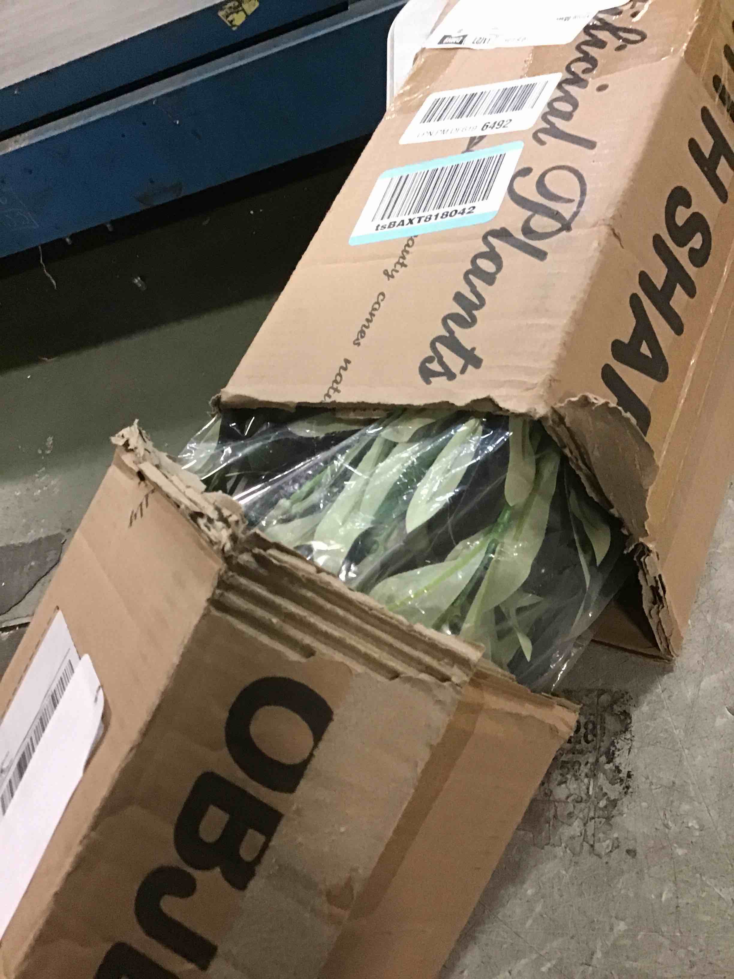 Condition photo showing Good Condition for CROSOFMI Artificial Olive Tree Plant 5 Feet Fake Topiary Silk Tree, Perfect Faux Plants in Pot for Indoor Outdoor House Home Office Garden Modern Decoration Housewarming,1Pack