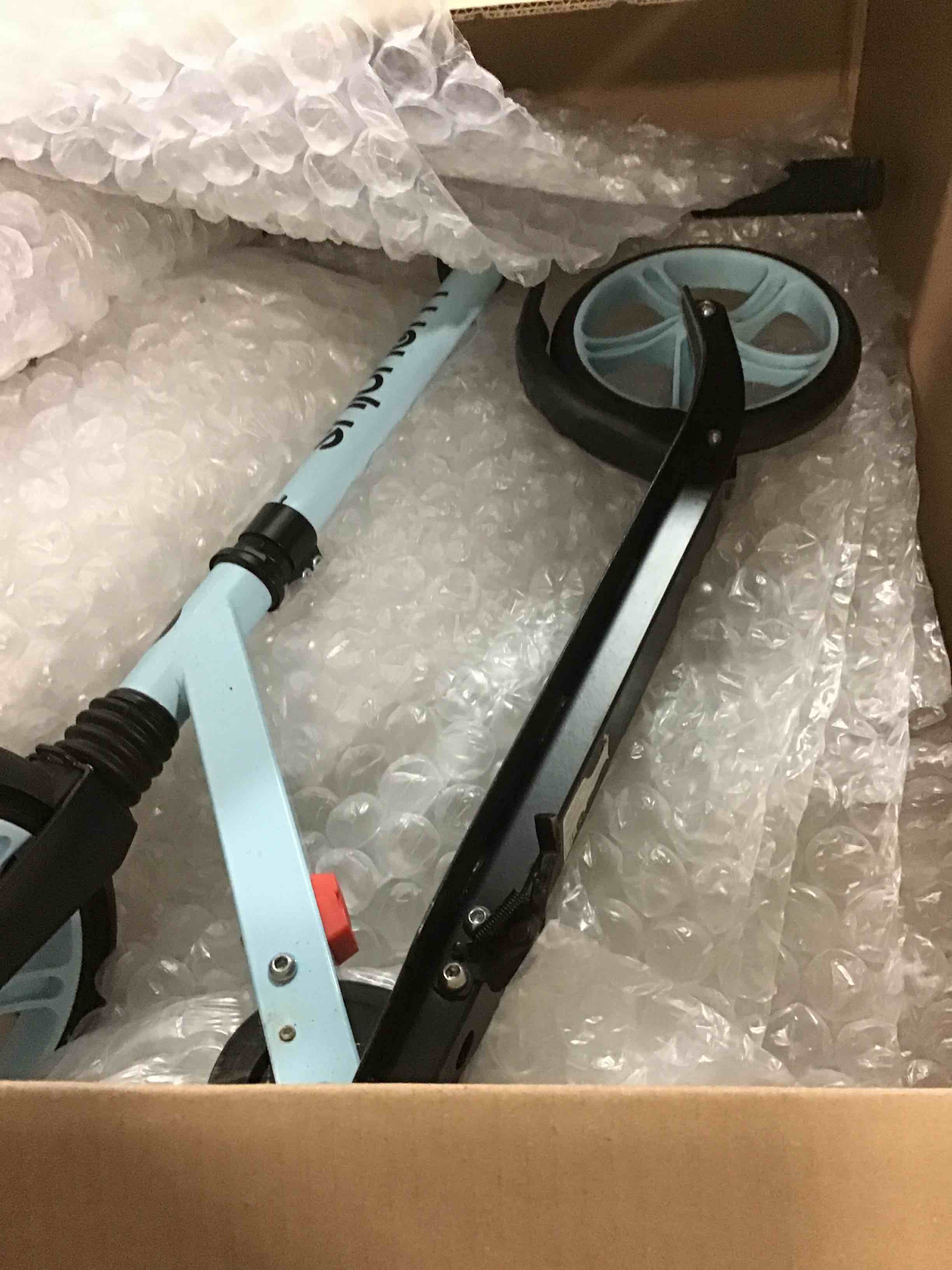 https://s3.amazonaws.com/lotting-images-prod/bidfta/PNK1377075_1734492949936.jpeg