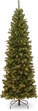 North Valley Spruce Tree with Clear Lights