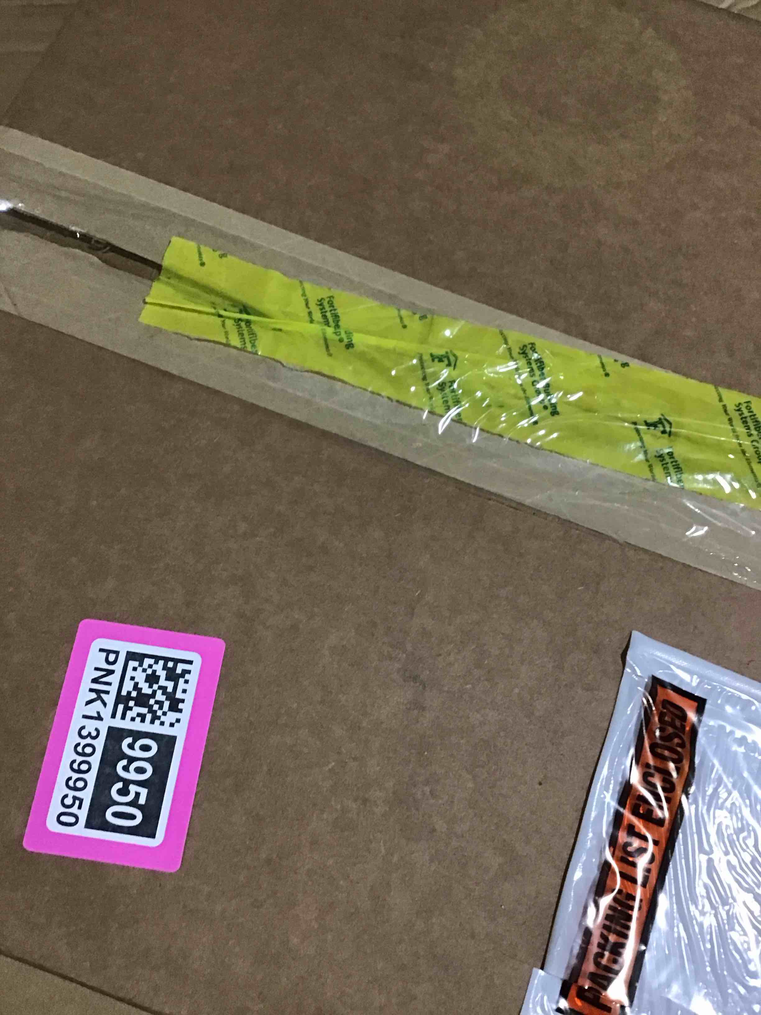 bird in tree picture