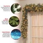 9ft. Glittery Bristle Pine Garland with Clear Lights
