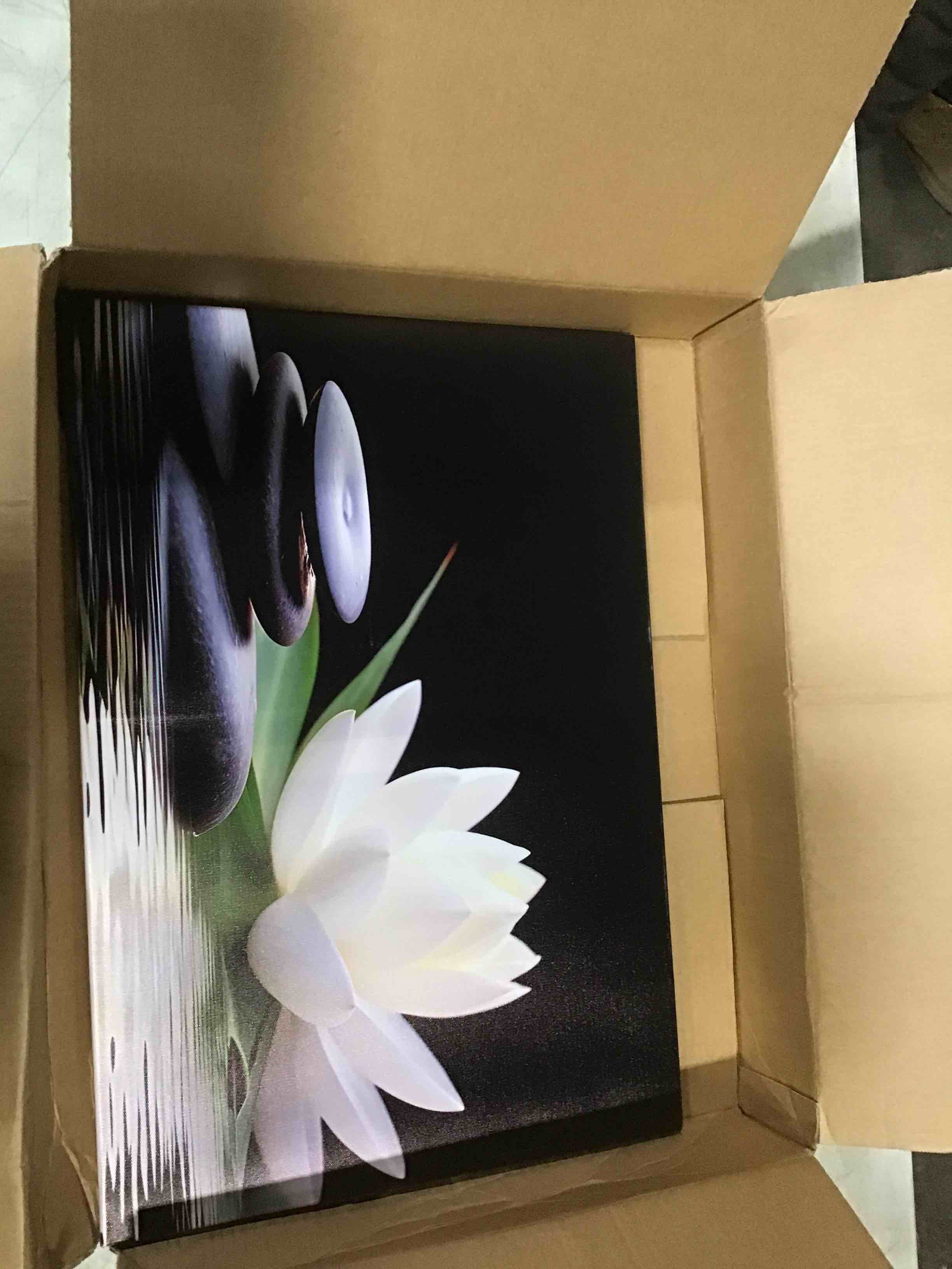 https://s3.amazonaws.com/lotting-images-prod/bidfta/PNK1401206_1737992032959.jpeg