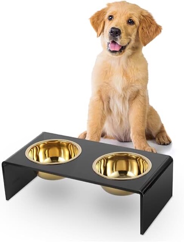 Elevated Rectangular Dog Feeder with 2 Stainless Steel Bowls
