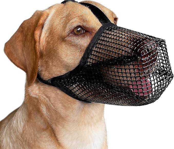 Mayerzon Dog Muzzle, Soft Mesh Covered Muzzles for X-Small Dogs, Poisoned Bait Protection Muzzle with Adjustable Straps, Prevent Biting Chewing and Licking