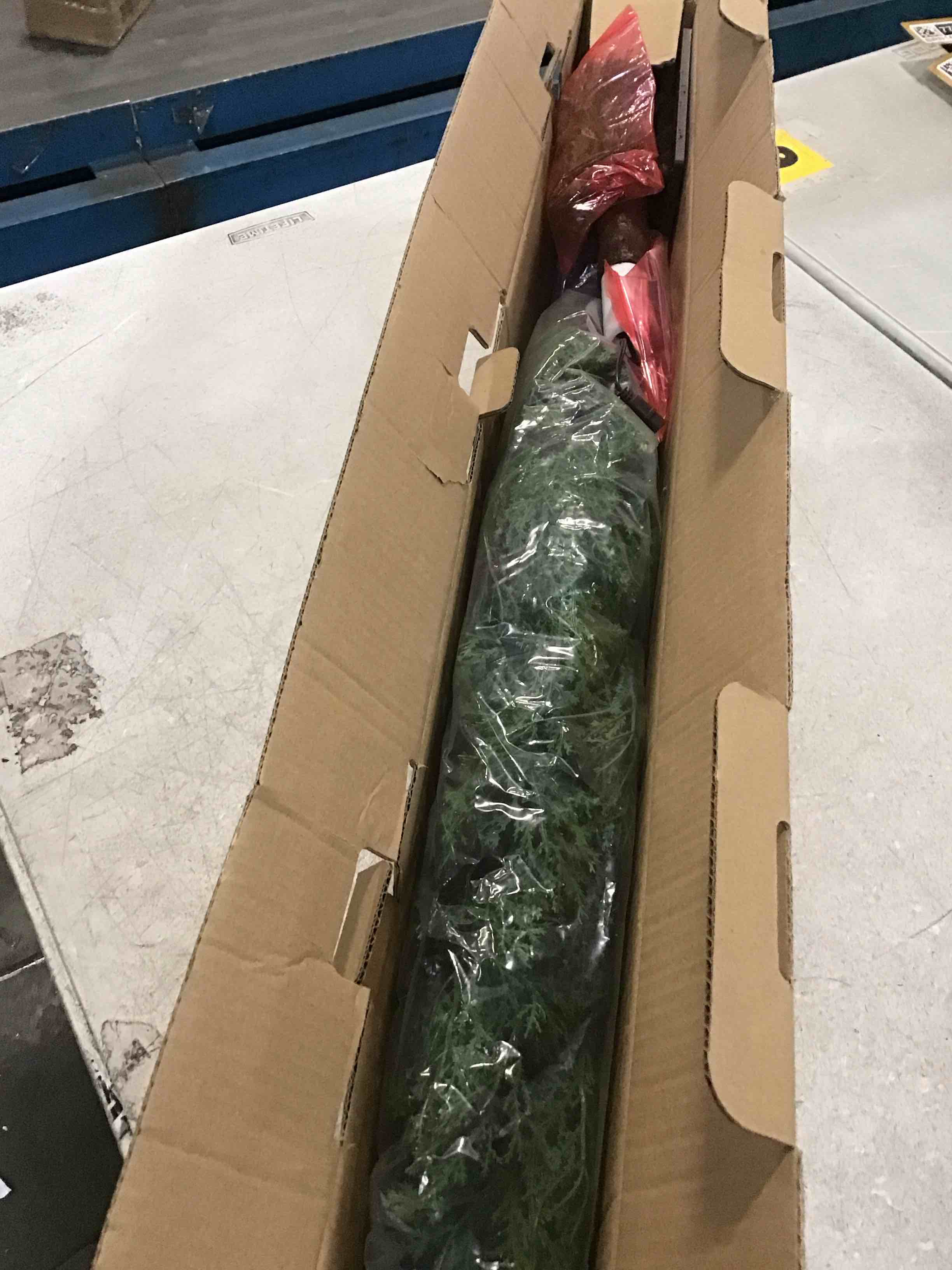 https://s3.amazonaws.com/lotting-images-prod/bidfta/PNK1466663_1733505948608.jpeg