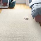 Birsen Area Rug in Ivory
