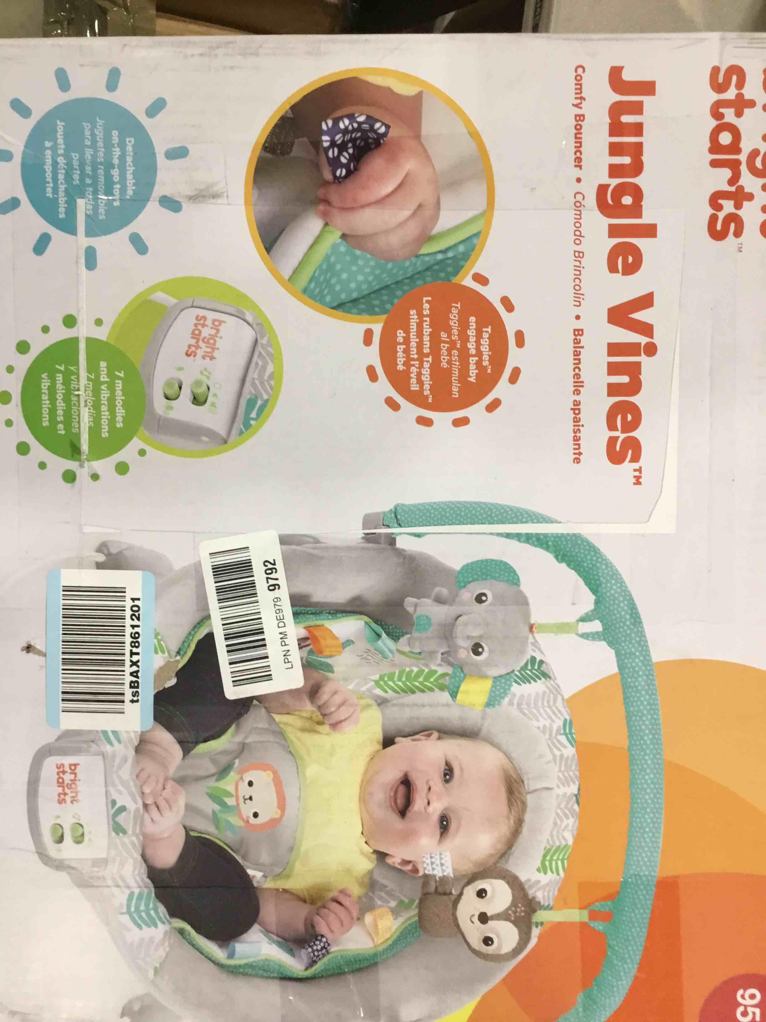 JUNGLE VINES BRIGHT STARTS