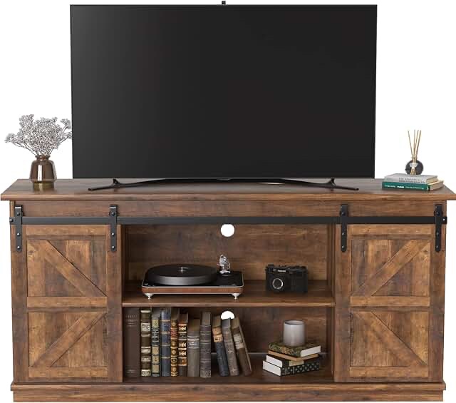 Massinissa Sliding Barn Door TV Stand with Storage for TVs up to 65"