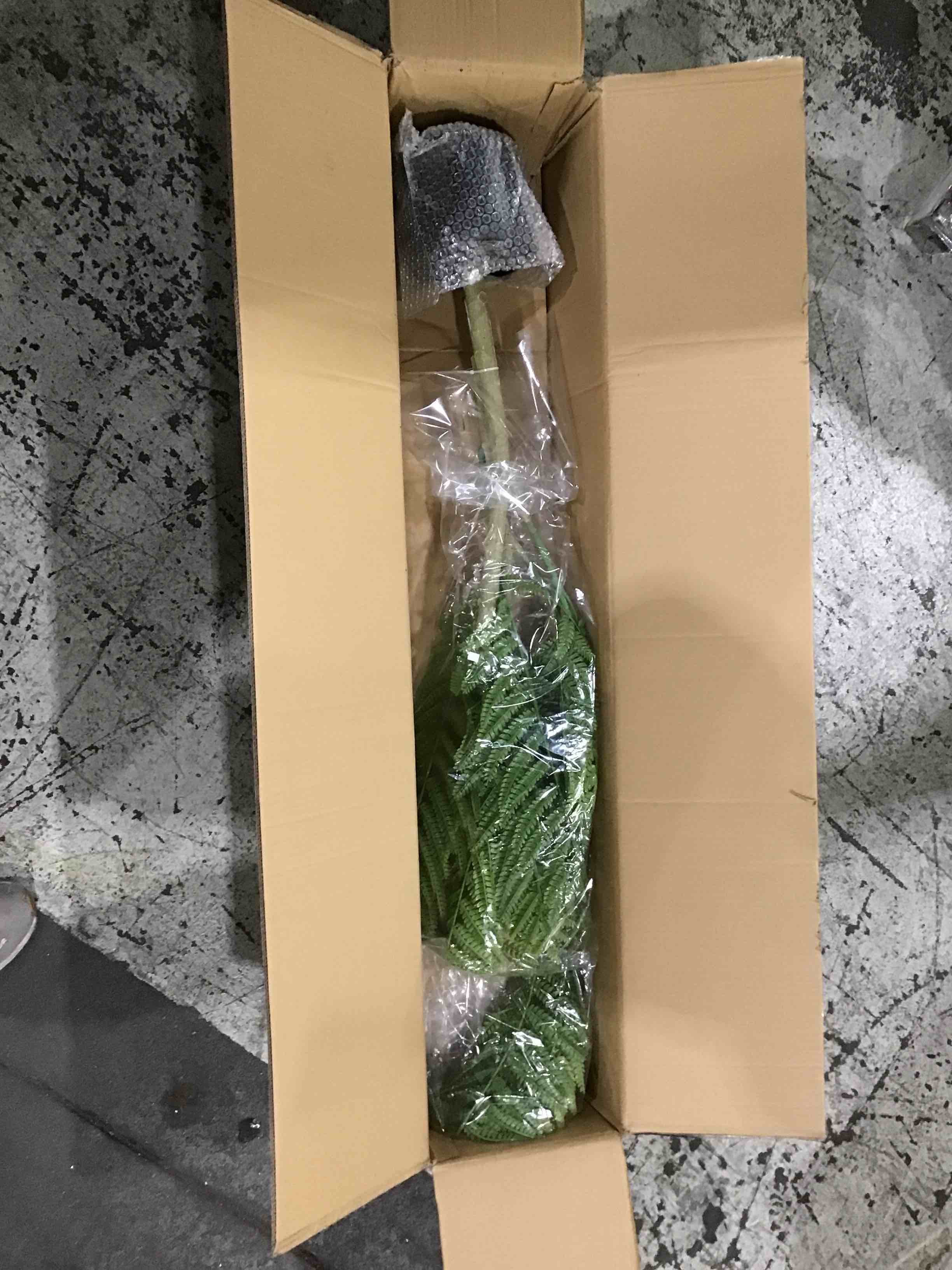 https://s3.amazonaws.com/lotting-images-prod/bidfta/PNK1590775_1750440086633.jpeg
