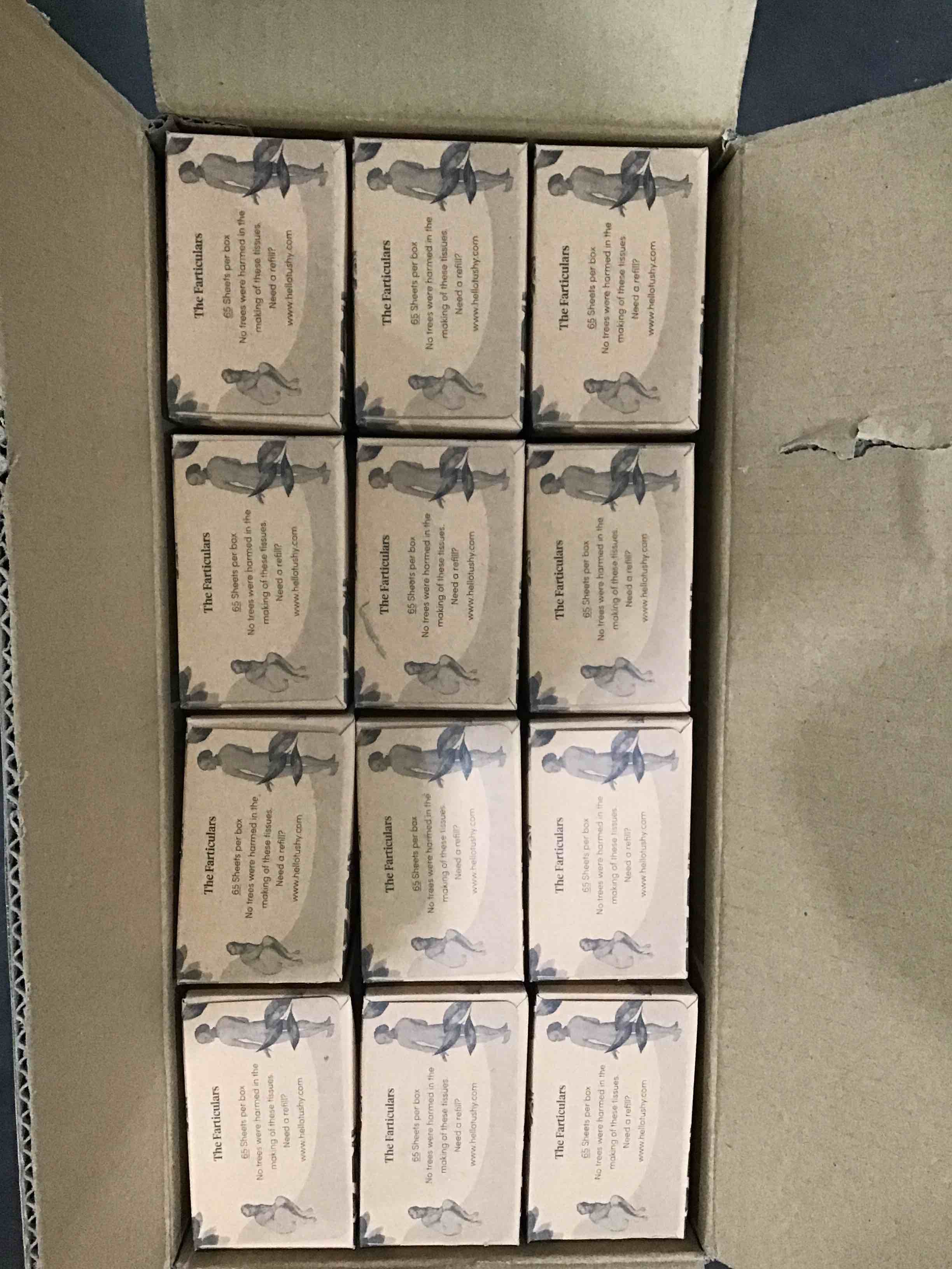 https://s3.amazonaws.com/lotting-images-prod/bidfta/PNK1610054_1746467765616.jpeg