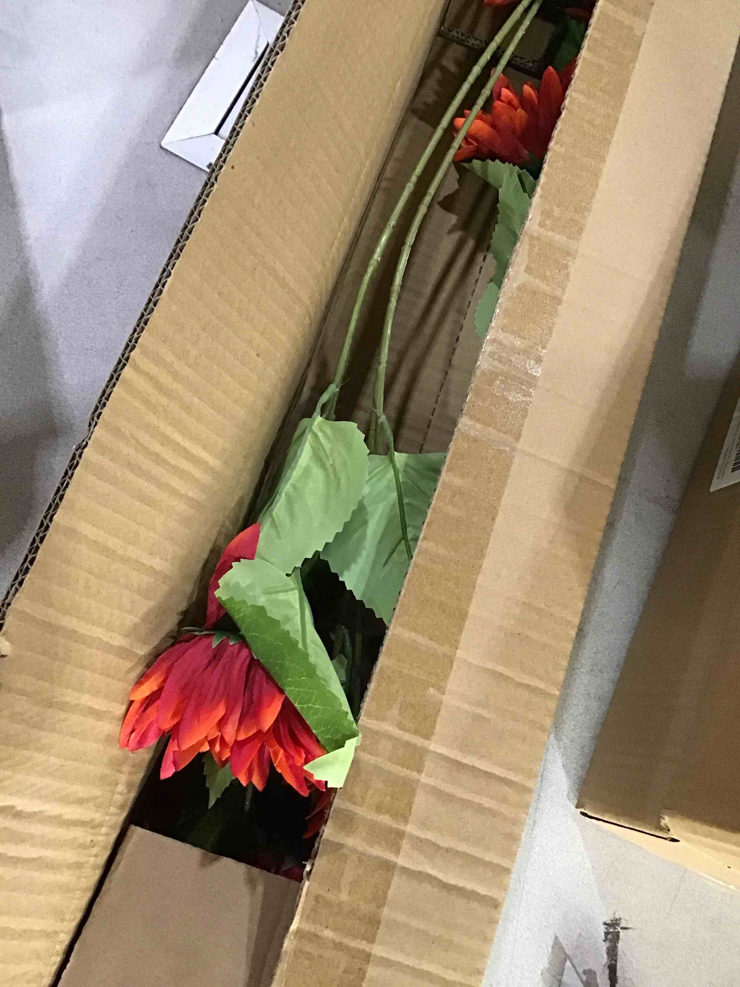 https://s3.amazonaws.com/lotting-images-prod/bidfta/PNK1633551_1753128692837.jpeg