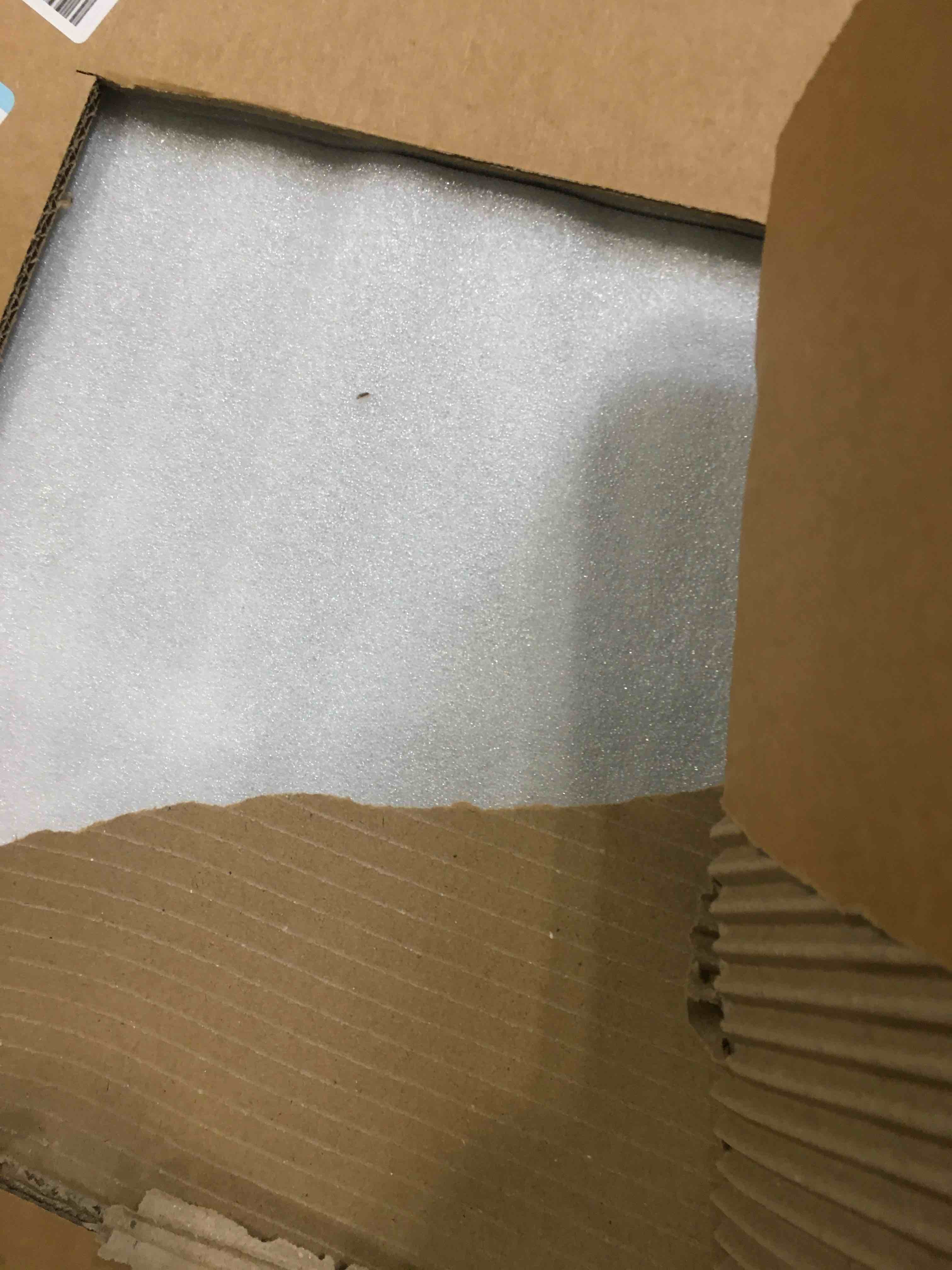 https://s3.amazonaws.com/lotting-images-prod/bidfta/PNK1673405_1749581311591.jpeg