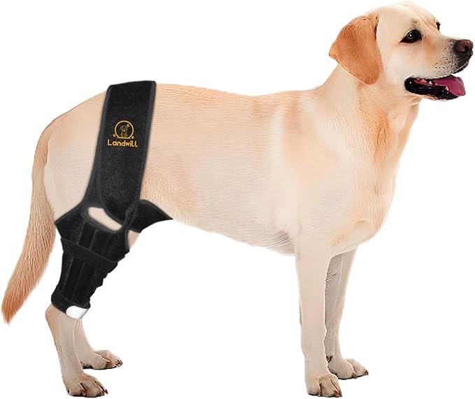 Landwill Dog Knee Brace for Cruciate Ligament Injury Joint Pain Muscle Soreness. Adjustable Dog Leg Brace, Dog Support Brace,Dog Hind Leg Support.(Black L)