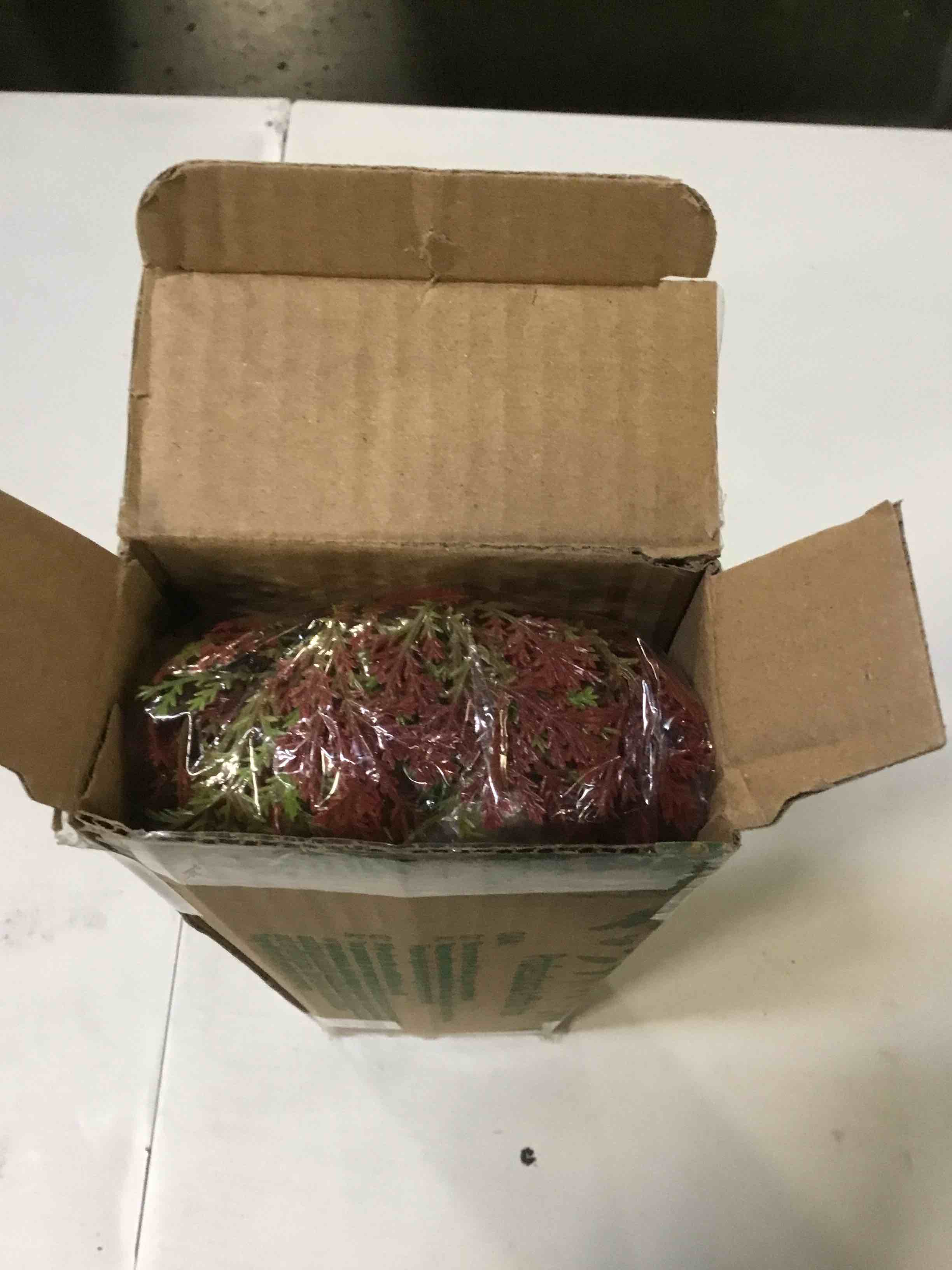 https://s3.amazonaws.com/lotting-images-prod/bidfta/PNK1778719_1738010941667.jpeg