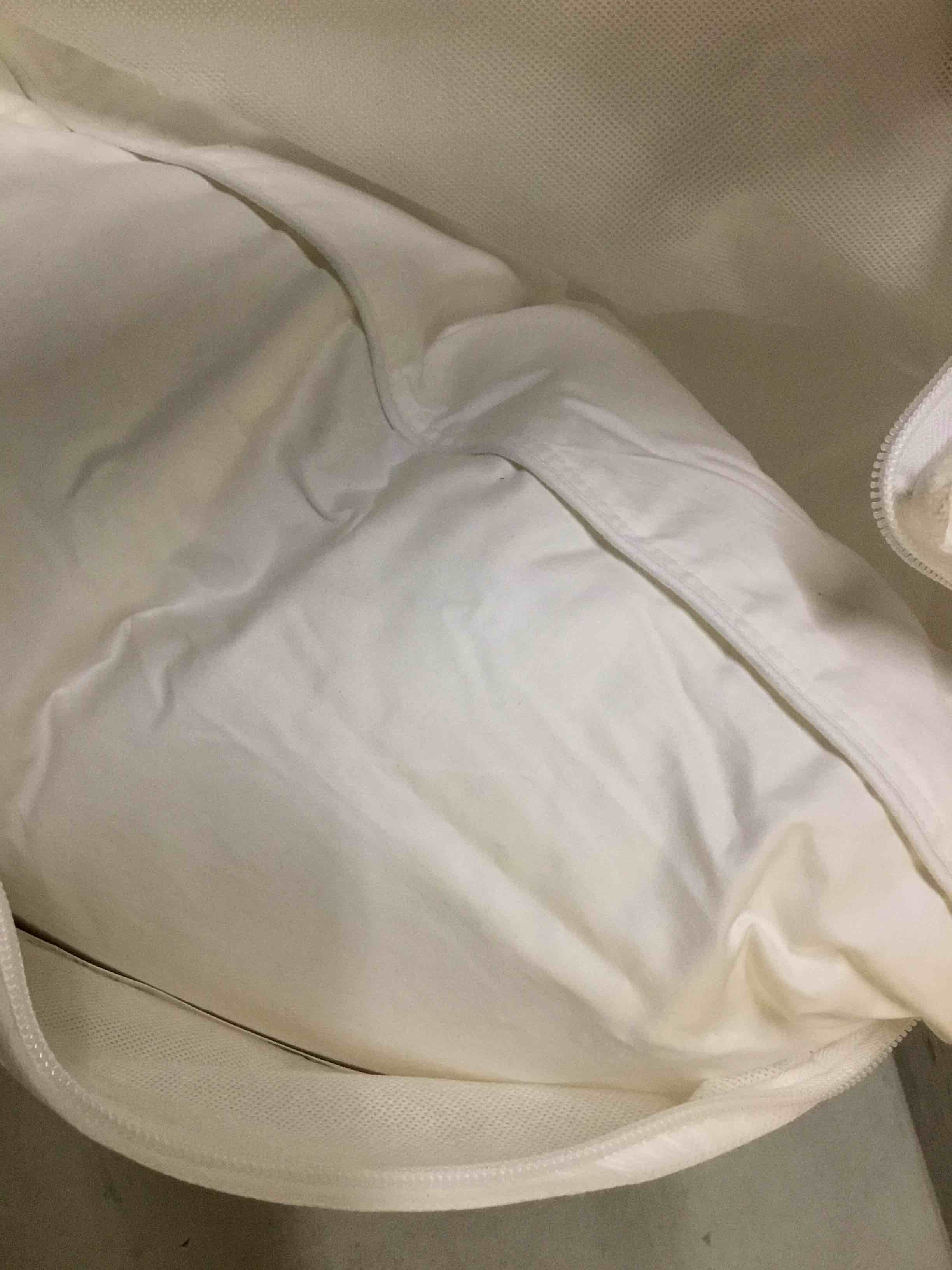 Condition photo showing As Is for quince luxe goose down pillow size king