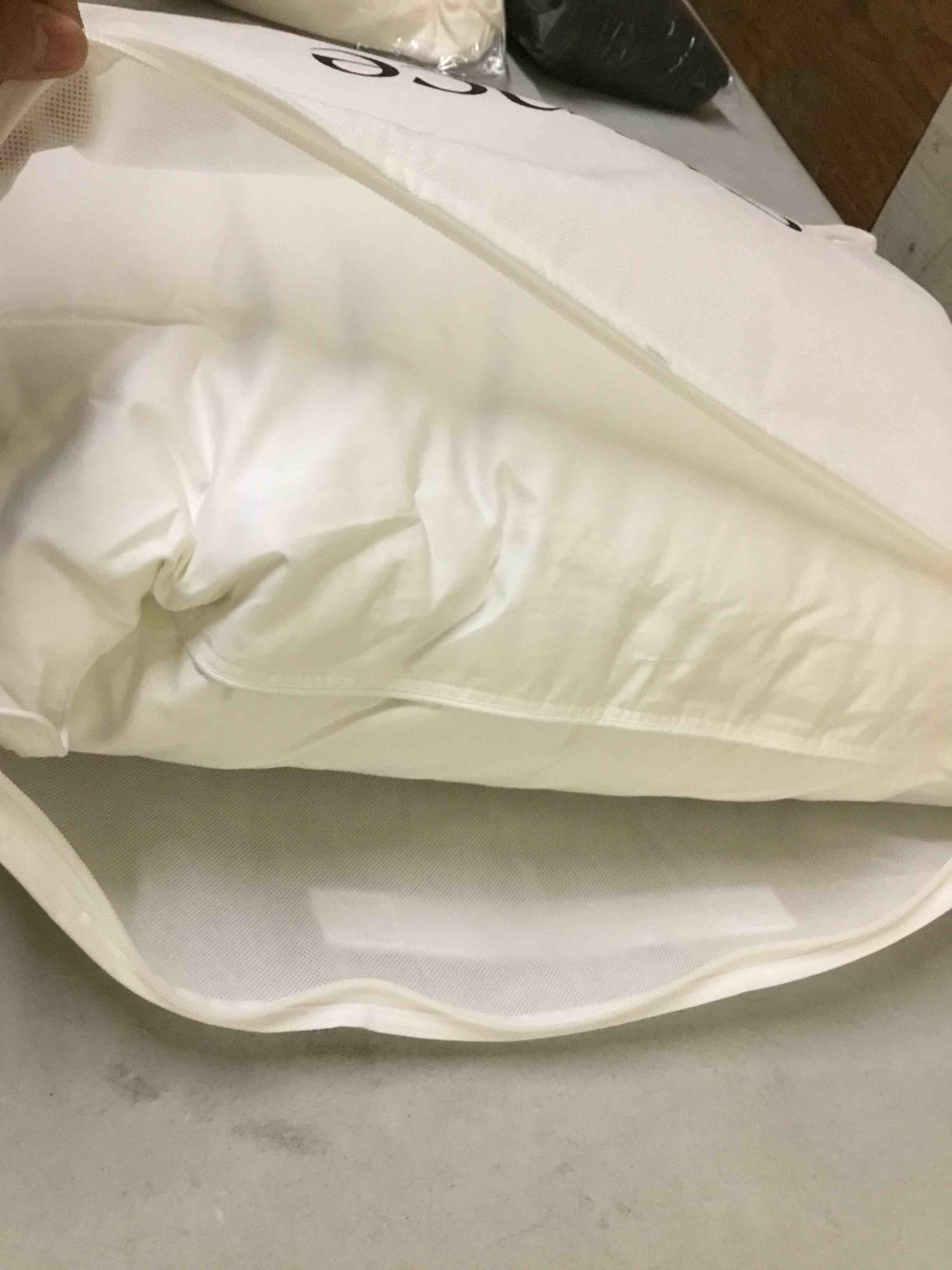 Condition photo showing Good Condition for luxe goose down pillow size standard 