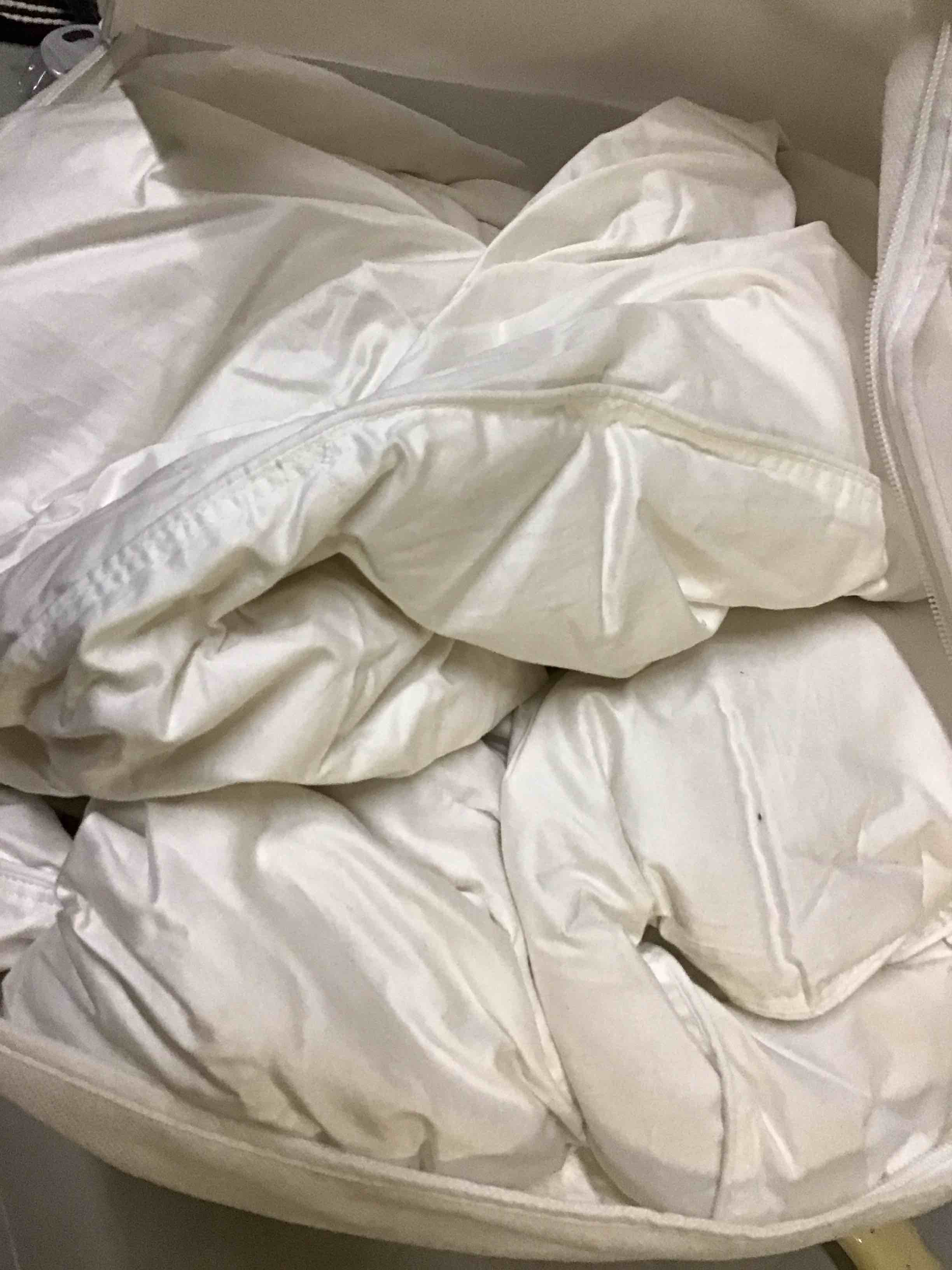 Condition photo showing As Is for luxe goose down comforter 