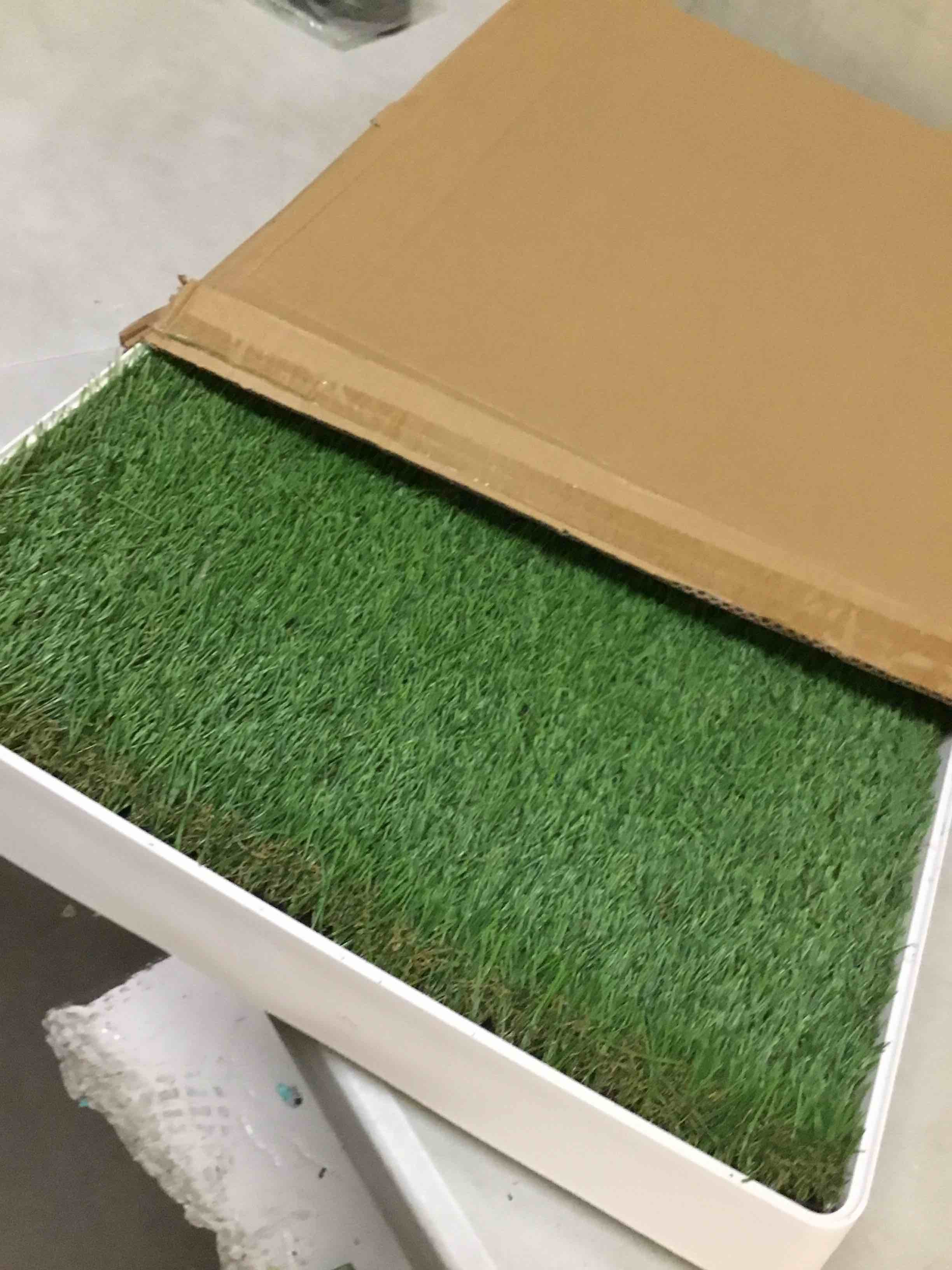 Condition photo showing New/Like New for grass pad with tray for dogs litter box porch potty for puppy pee training indoor fake grass pee pad artificial grass with pee pad holder dogs potty