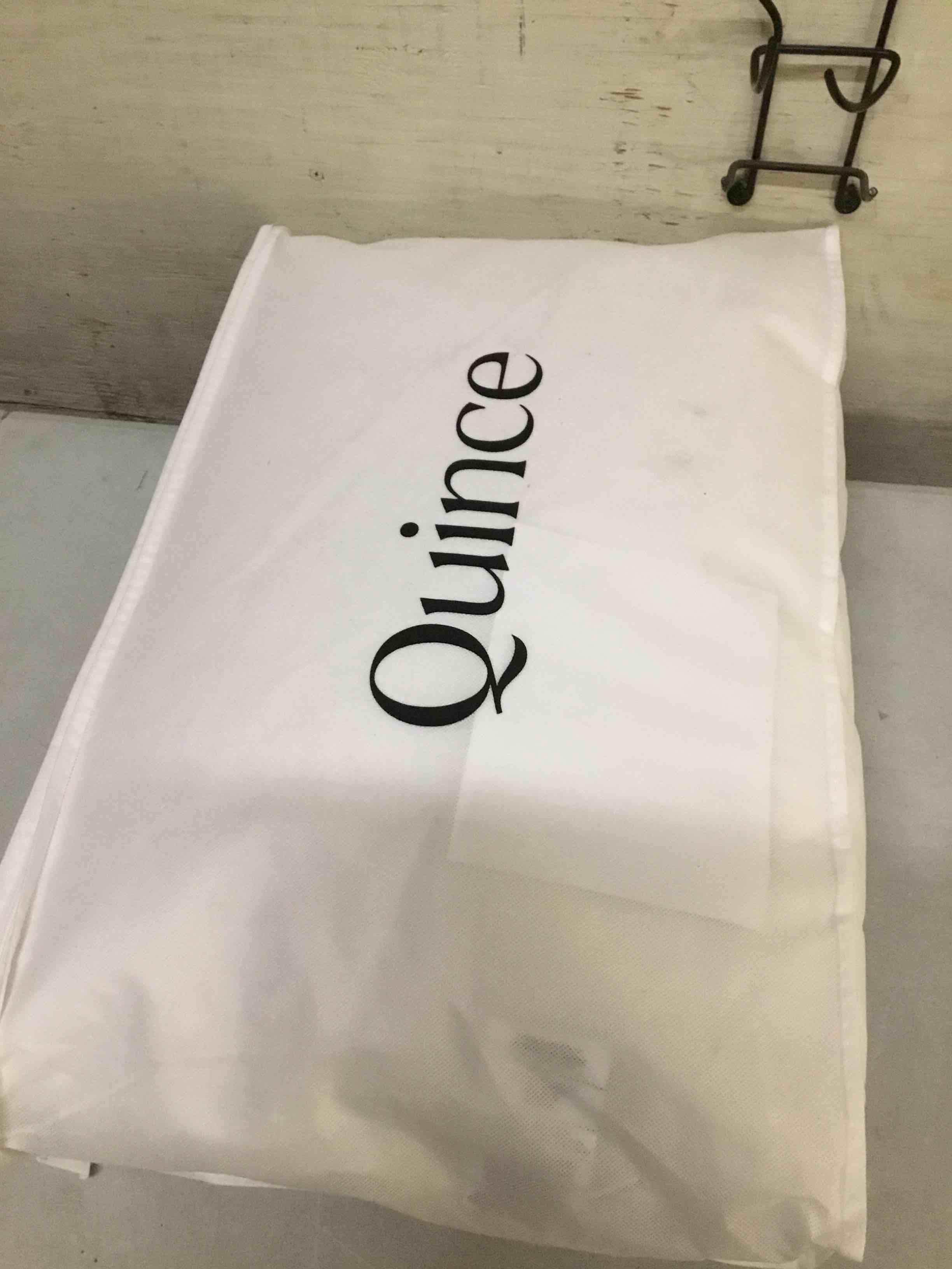 Condition photo showing As Is for quince goose pillow soft standard 