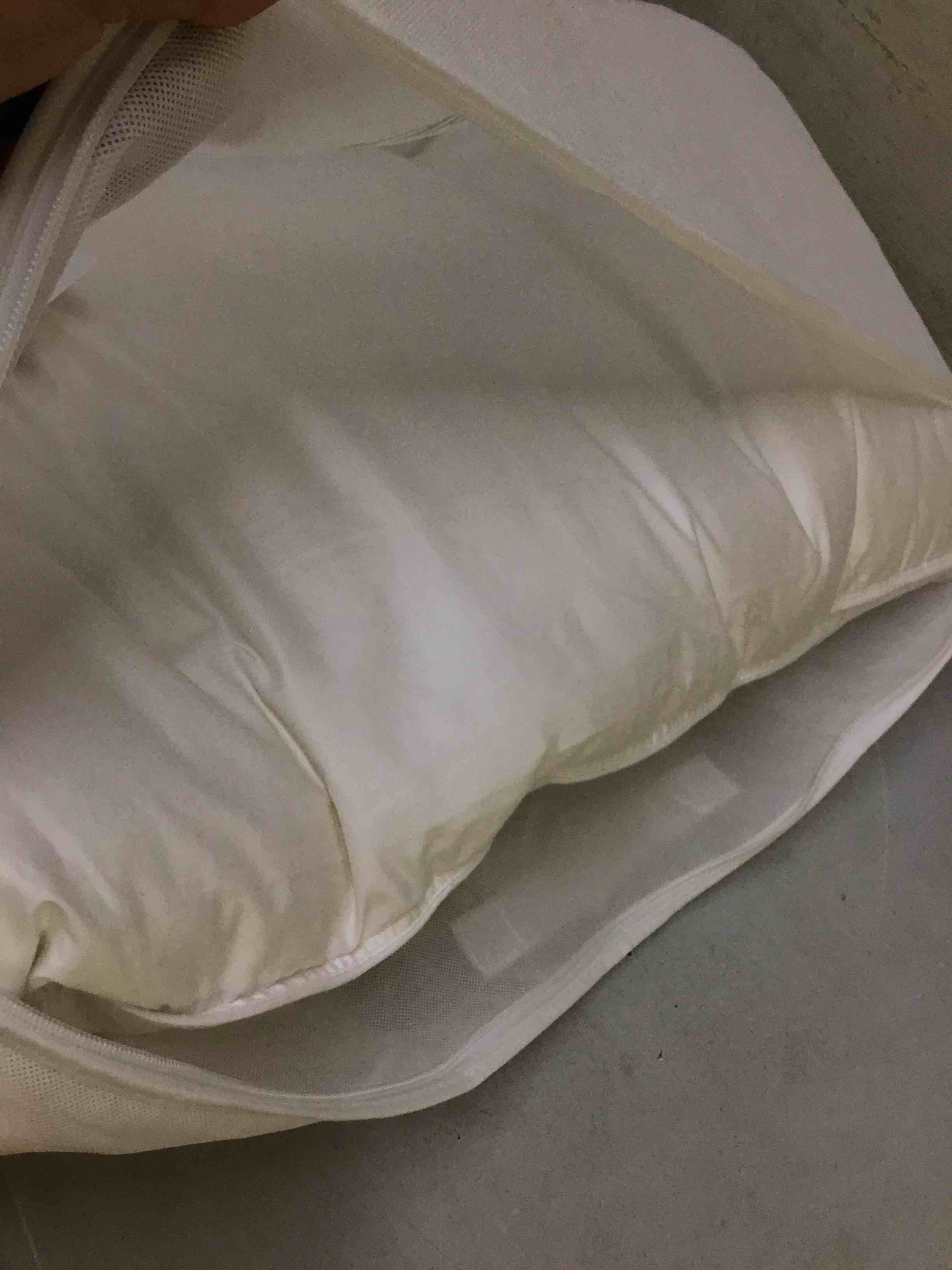 Condition photo showing As Is for quince luxe goose down pillow king soft medium