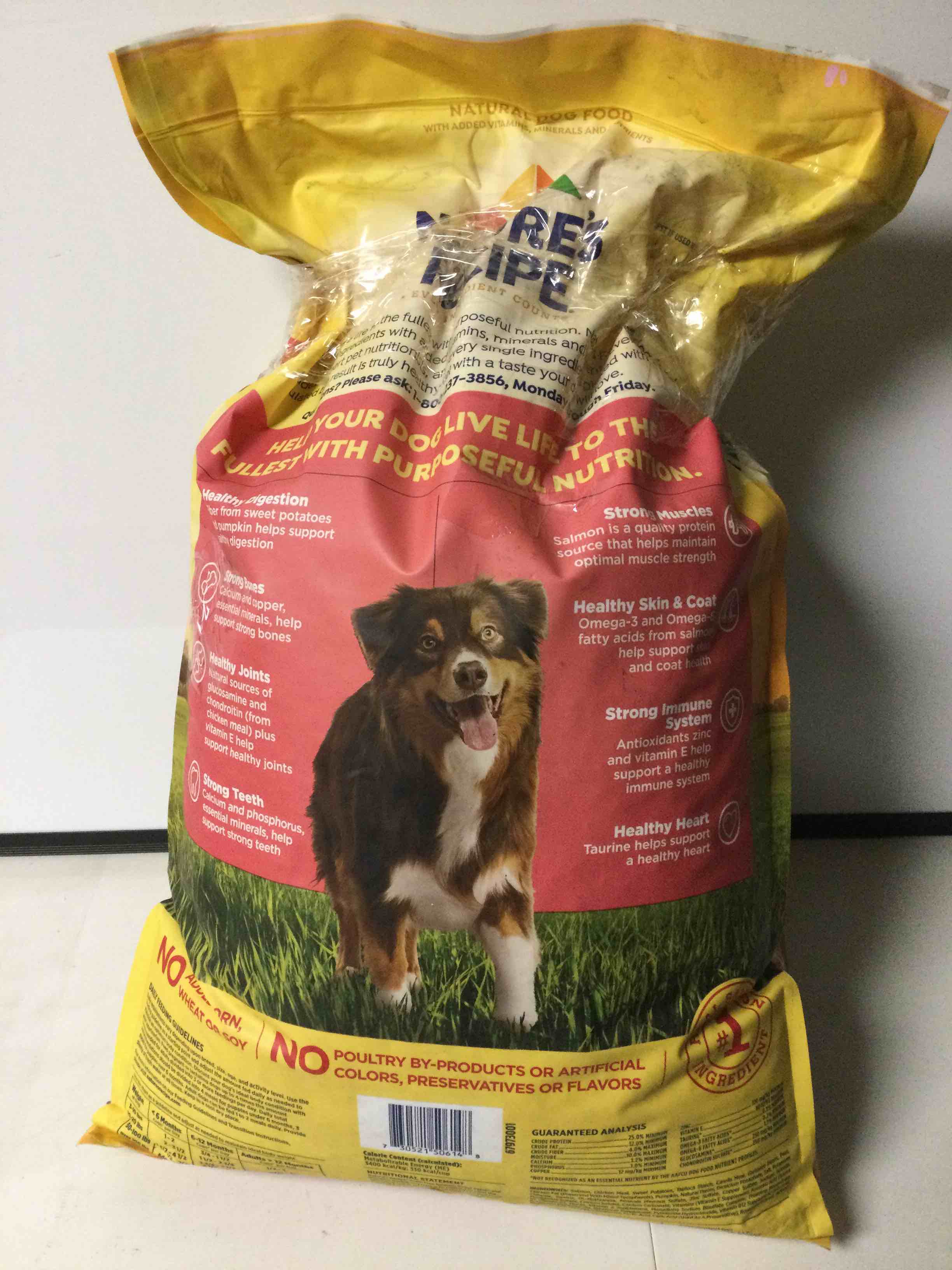 Nature’s Recipe Grain Free Salmon  Sweet Potato & Pumpkin Recipe Dry Dog Food  24 lb. Bag*BAG DAMAGED 