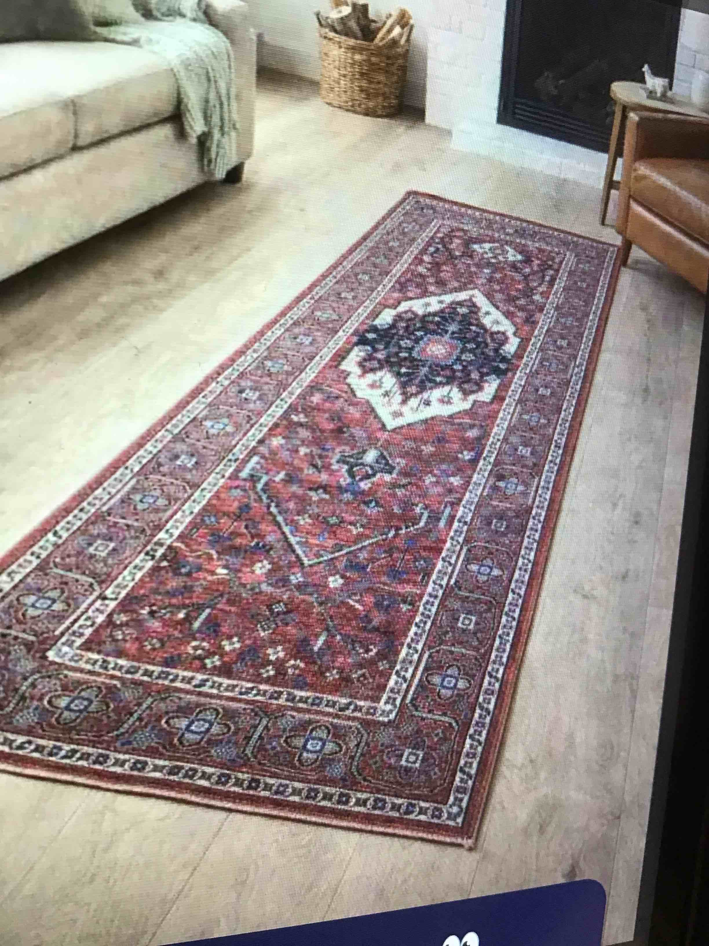 Timeless Design Cecilia ll Collection  Multi Terra Size 2’7”x7’3”