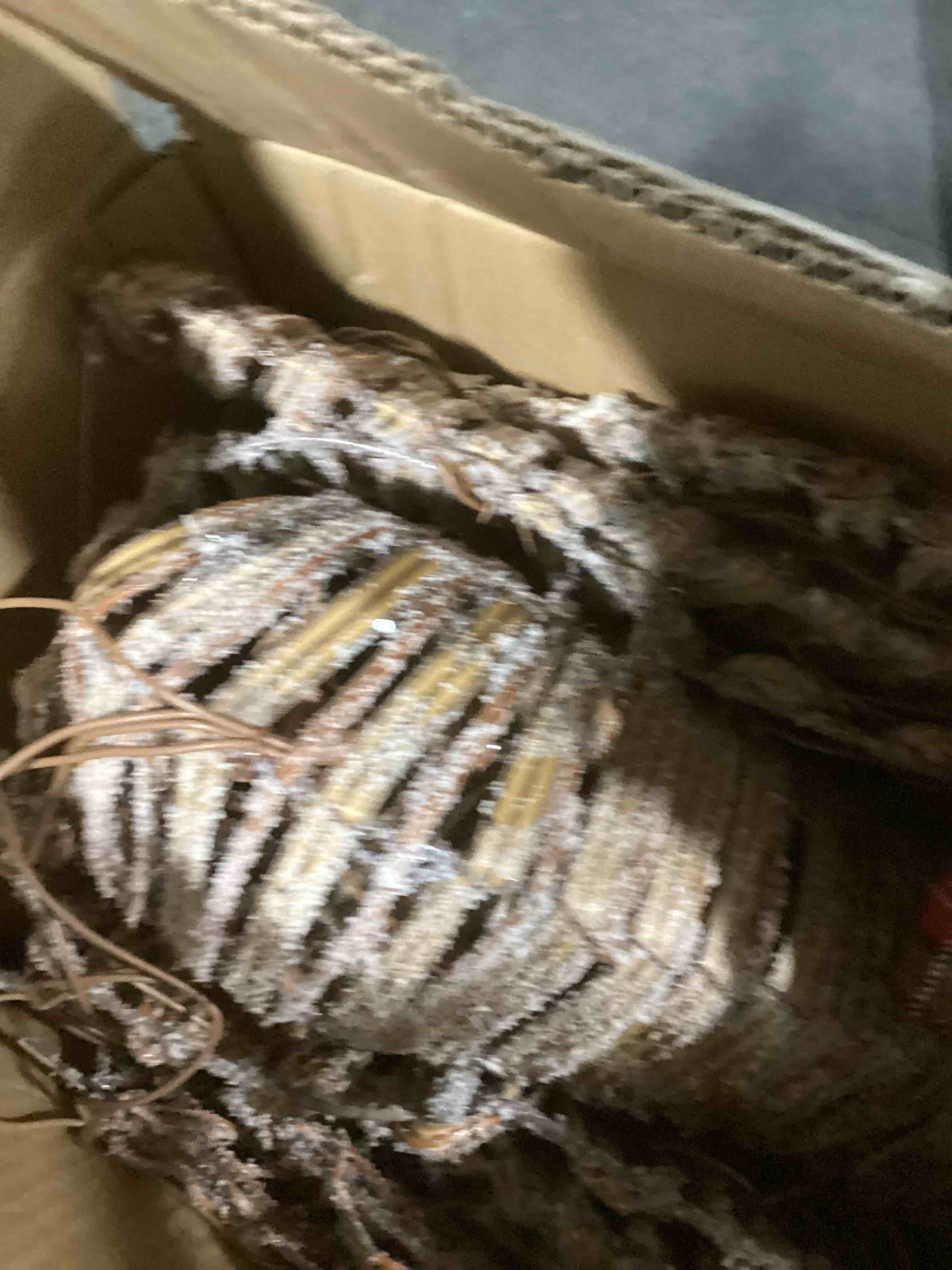 holiday living 5-ft rattan buck 