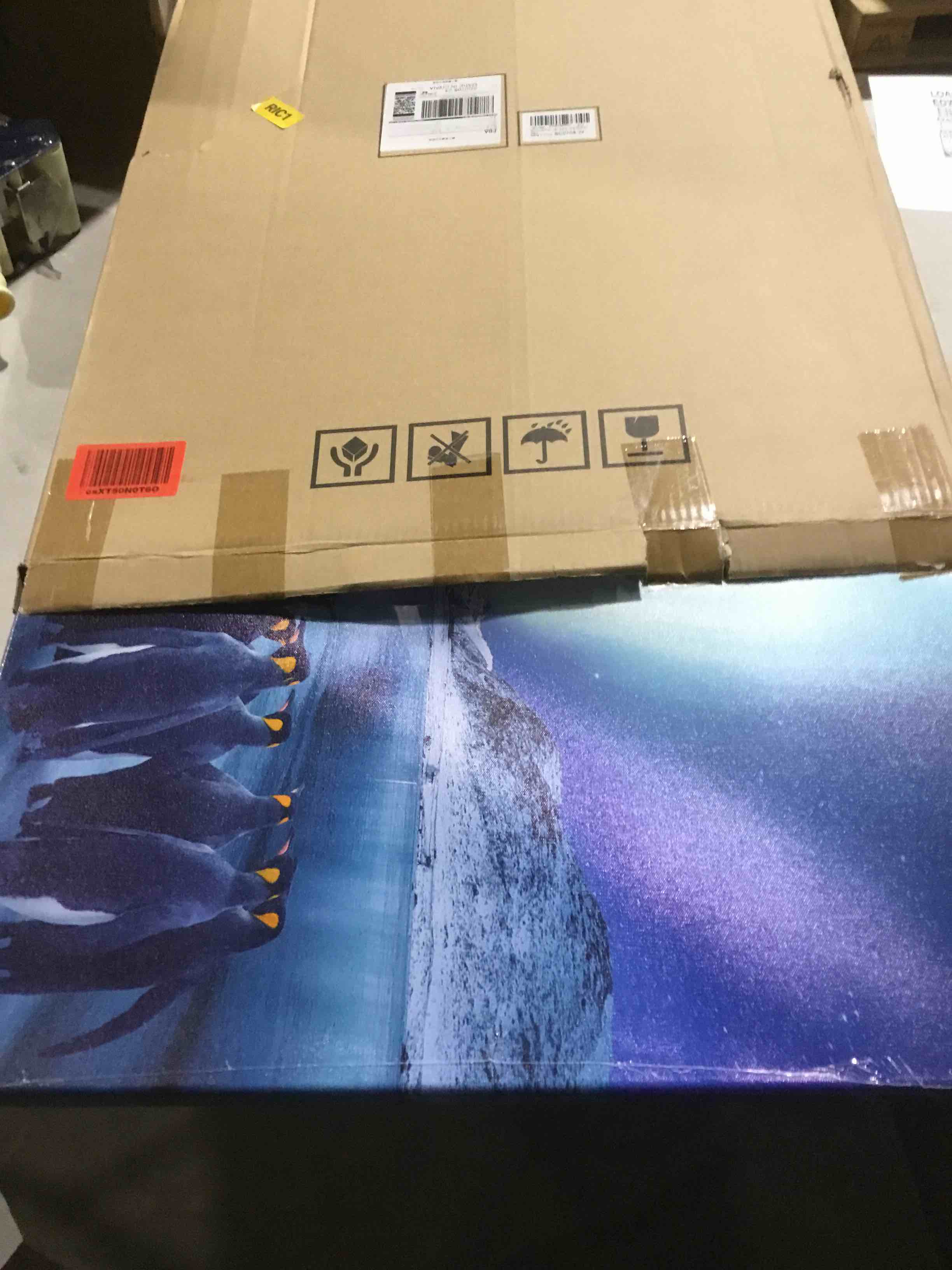 https://s3.amazonaws.com/lotting-images-prod/bidfta/PNK1814757_1742916773917.jpeg